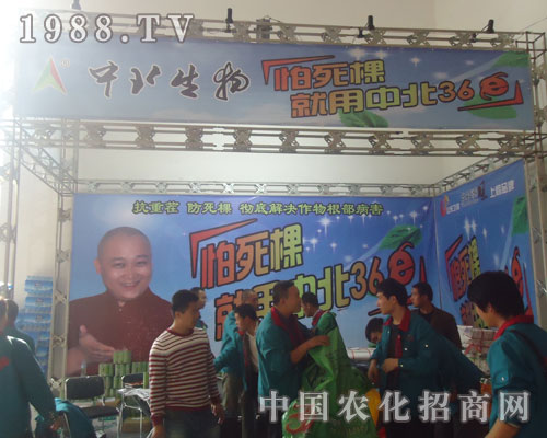 怕死棵，就用中北36E
