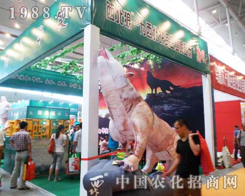 西北狼怒吼于2012年第12屆新疆農博會