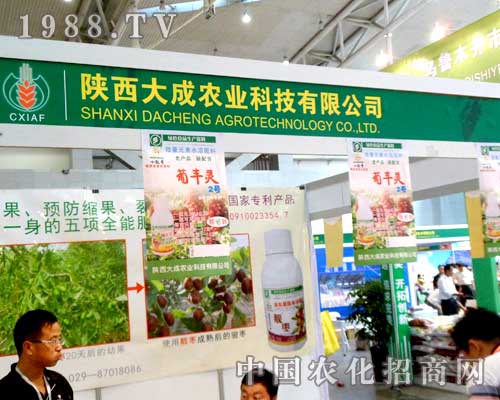 陜西大成農業出展烏魯木齊農博會，招商不斷
