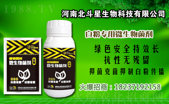 2020年12月31日嗎胍乙酸銅殺菌劑價格行情