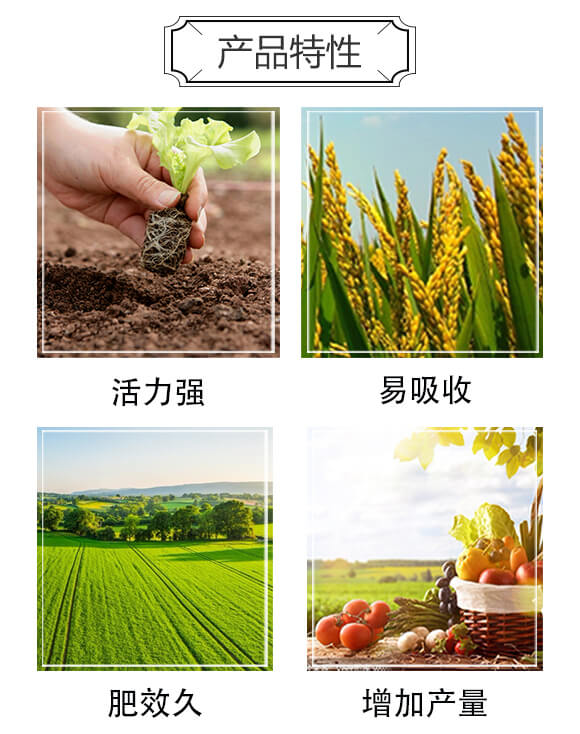 益生菌腐熟發酵大豆-美高_03