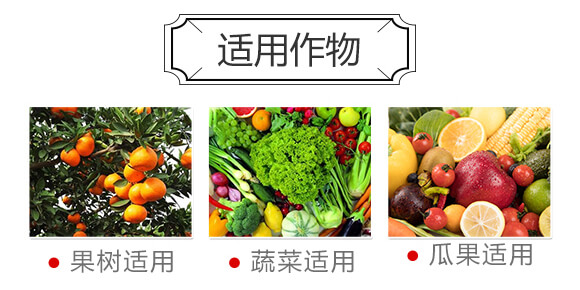 益生菌腐熟發酵大豆-美高_04