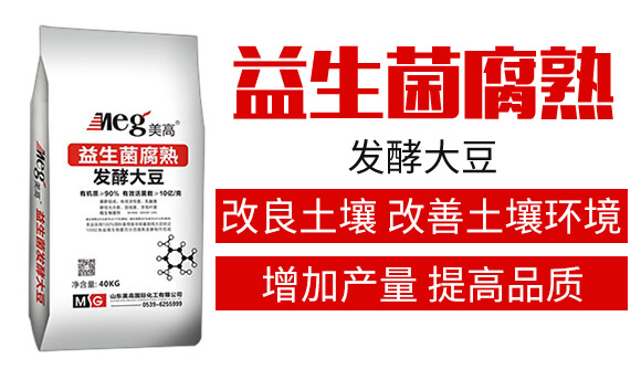 益生菌腐熟發酵大豆-美高_02