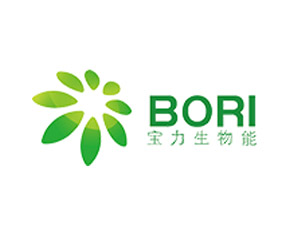 山東寶力生物質能源股份有限公司