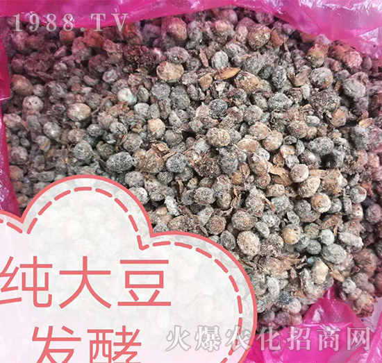 純大豆發酵