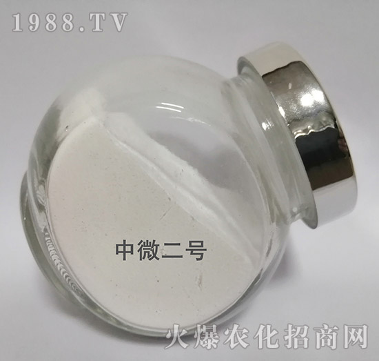 中微2號