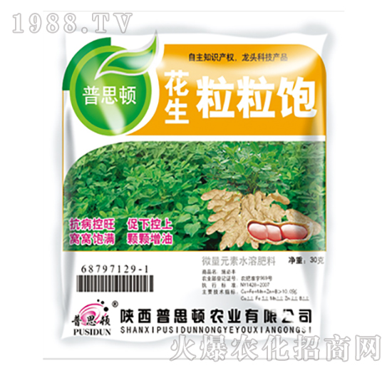 花生粒粒飽-普思頓農業
