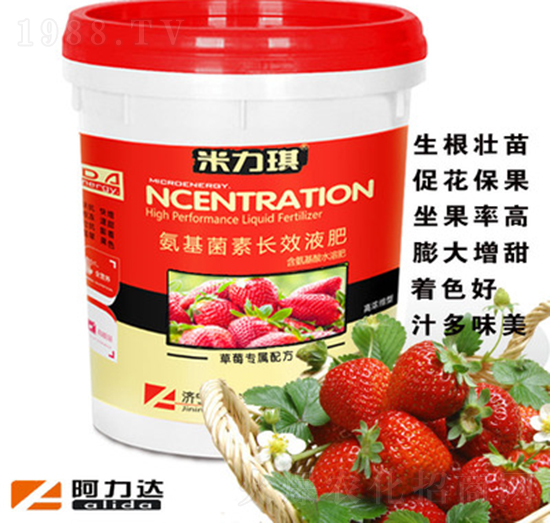 草莓專用氨基菌素長(zhǎng)效液肥-米力琪-阿力達(dá)生物