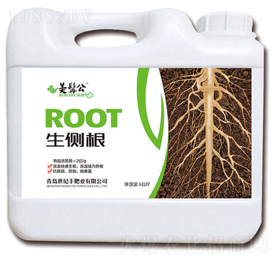 生側根-美髯公-世紀豐