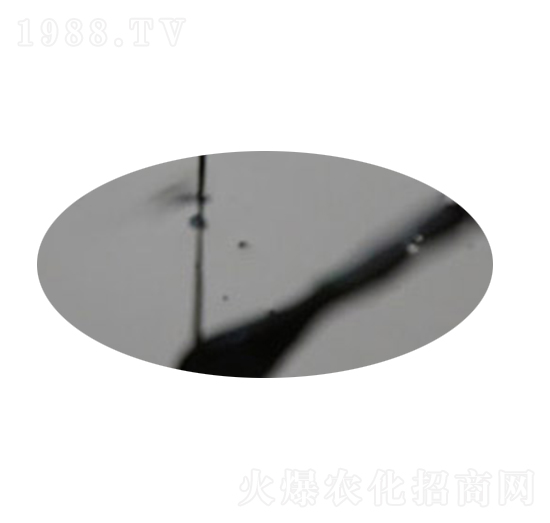 根康-華海