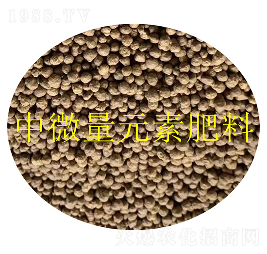 中微量元素肥料顆粒-金潤發生物