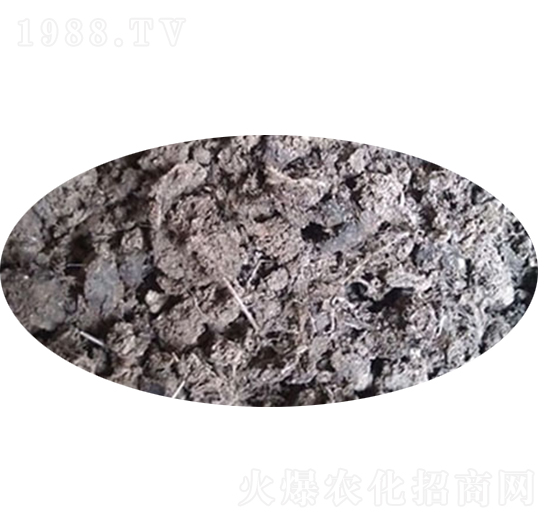 天然晾干雞糞-地生金肥業