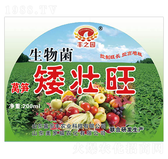 萵筍矮壯旺-喜樂豐農(nóng)業(yè)