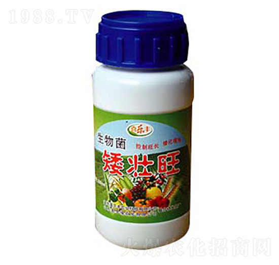 生物菌矮壯旺-喜樂豐農業