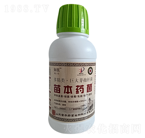 如醫多粘類·巨大芽孢桿菌-苗本藥菌