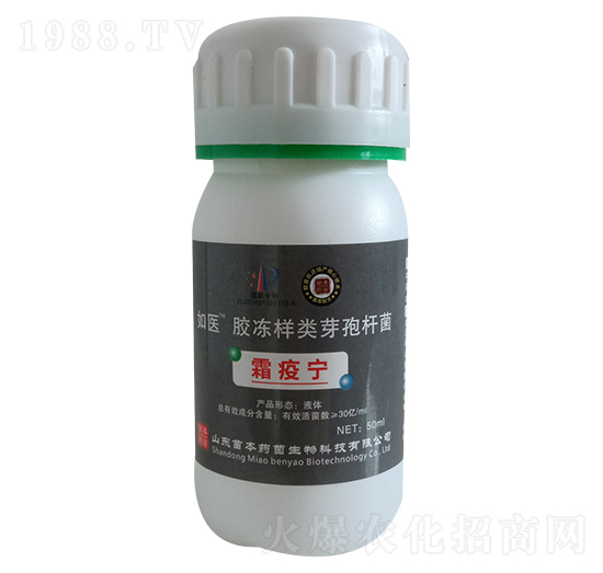 膠凍樣類芽孢桿菌-如醫-苗本藥菌
