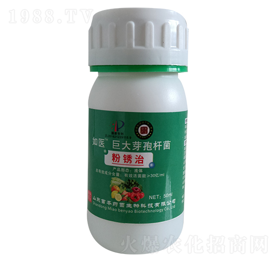 粉銹治巨大芽孢桿菌-如醫-苗本藥菌