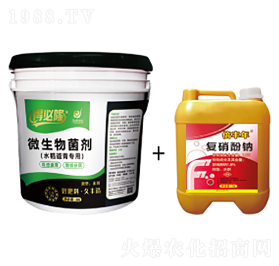 水稻返青專用微生物菌劑-得必隆-農墾久豐
