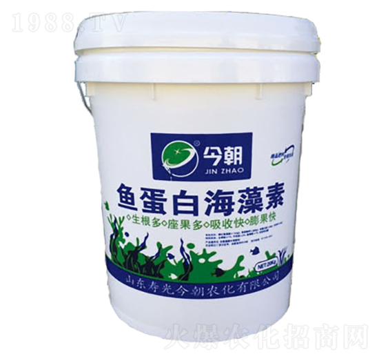 魚蛋白海藻素-今朝農化