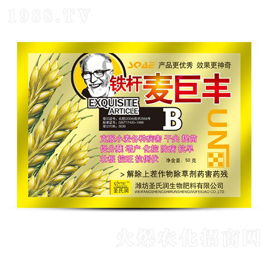 麥巨豐-圣氏潤