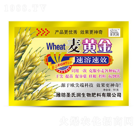 麥黃金-圣氏潤