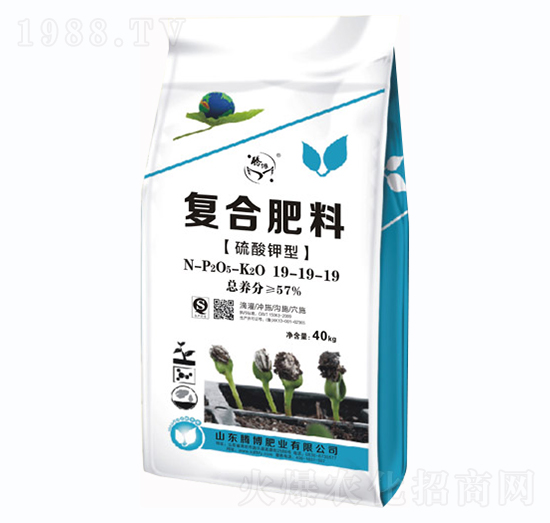 復合肥料19-19-19-騰博肥業