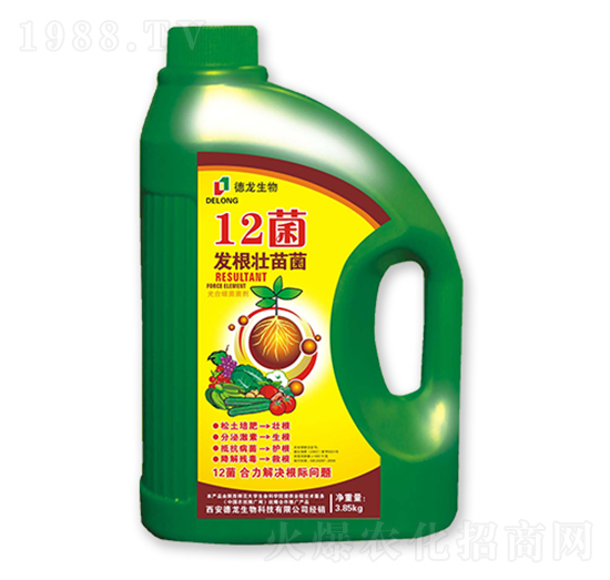 12菌發根壯苗菌-德龍生物