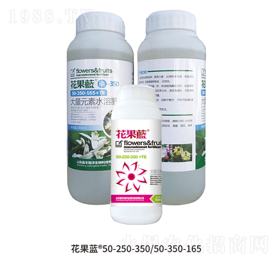 花果藍組合-嘉豐