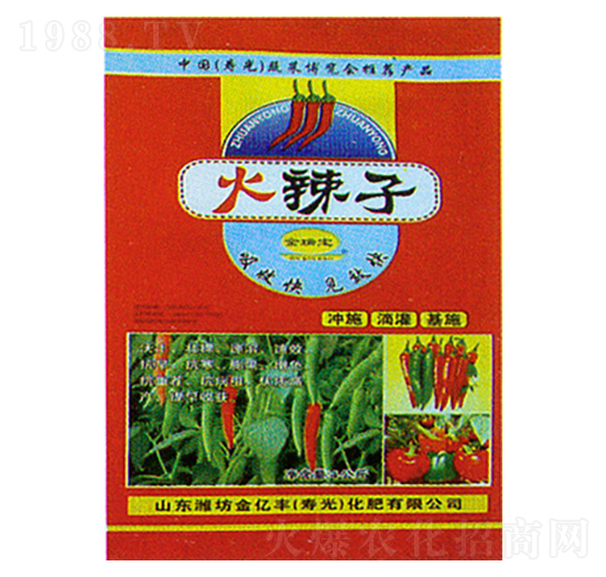 火辣子-金億豐