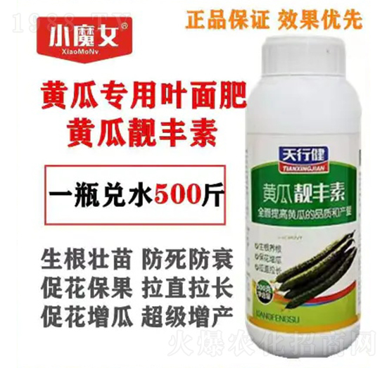 黃瓜專(zhuān)用葉面肥-黃瓜靚豐素-小魔女-天行健