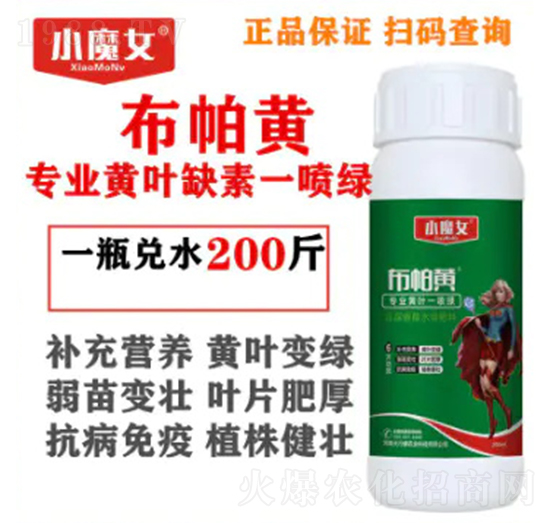 專業黃葉缺素一噴綠-布帕黃-小魔女-天行健