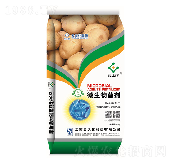 馬鈴薯專用微生物菌劑-世紀云天