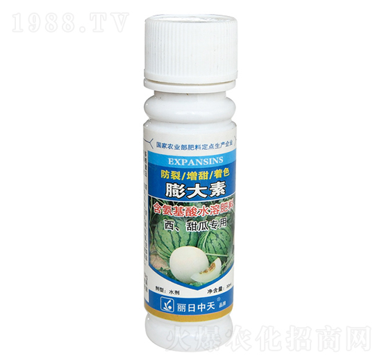 西瓜、甜瓜專用-防裂膨大素-中天肥業
