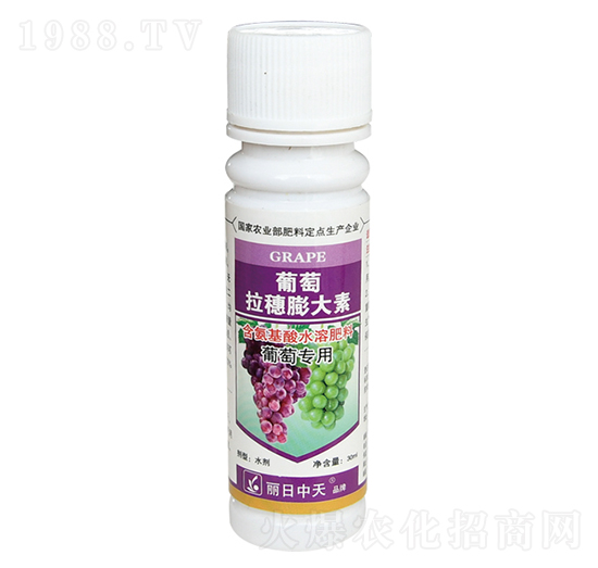 葡萄拉穗膨大素-中天肥業