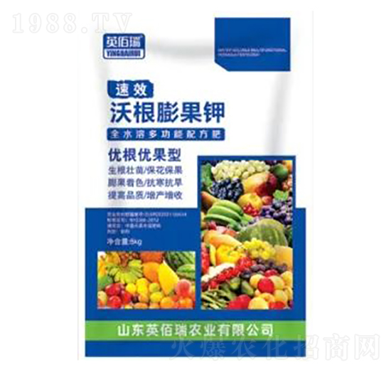沃根膨果鉀優根優果型-榮耀農業