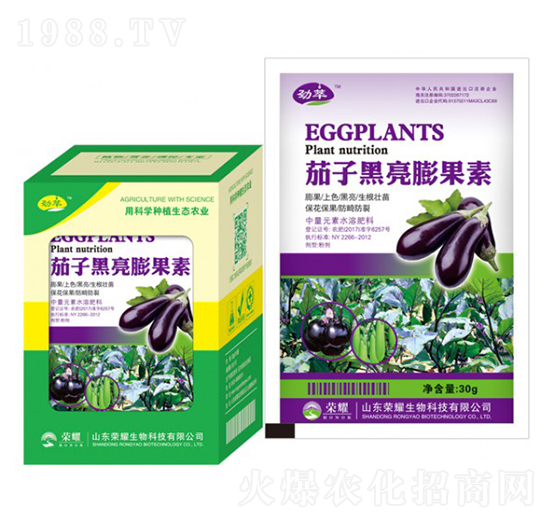 茄子黑亮膨果素-勁萃-榮耀農業