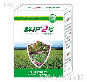 鮮護2號-銘越