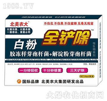 白粉全鏟除-北美農大