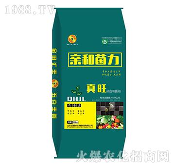 微生物菌劑-親和菌力-真旺-金惠農