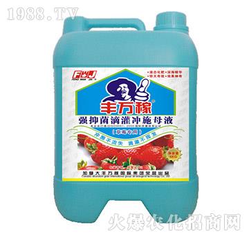 草莓專用強抑菌滴灌沖施母液-豐萬稼