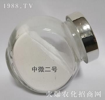 中微2號