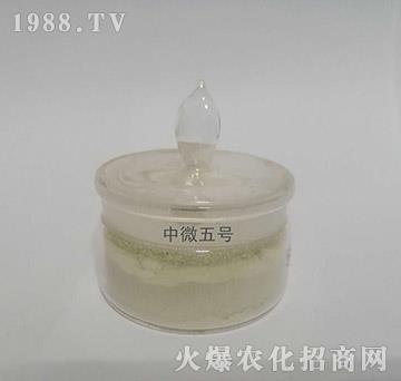 中微5號