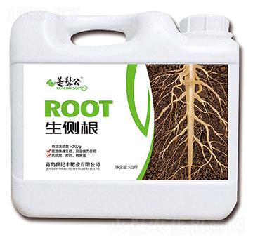 生側根-美髯公-世紀豐