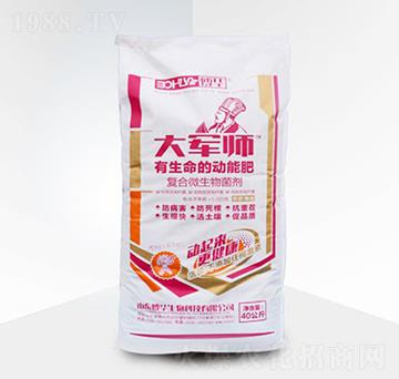復(fù)合微生物菌劑-大軍師粉劑-博華生物