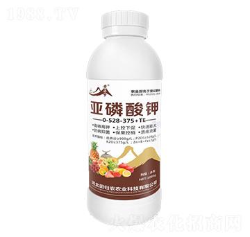 亞磷酸鉀0-528-375+TE-黃粱夢-田歸農(nóng)