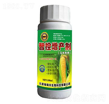 生物控旺系列-玉米智能控旺增產劑-甸甸豐