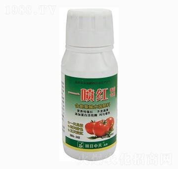 番茄專用含氨基酸水溶肥料-一噴紅-中天肥業