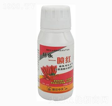 辣椒催紅專用-辣椒一噴紅-中天肥業