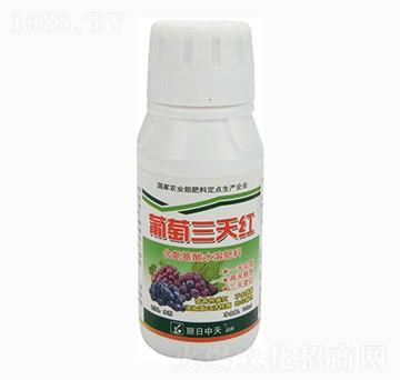 含氨基酸水溶肥料-葡萄三天紅-中天肥業