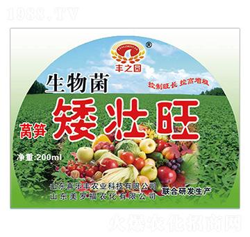 萵筍矮壯旺-喜樂豐農(nóng)業(yè)